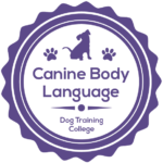 An image of the Canine Body Language Certification